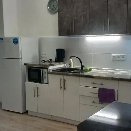 Apartment 10 фонтана чайка! Platinum *